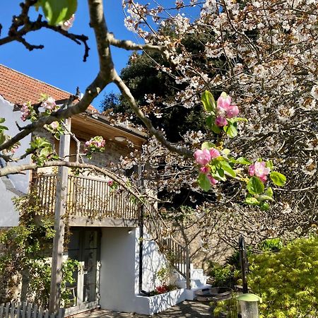 Westbury Cross House Bed & Breakfast Esterno foto