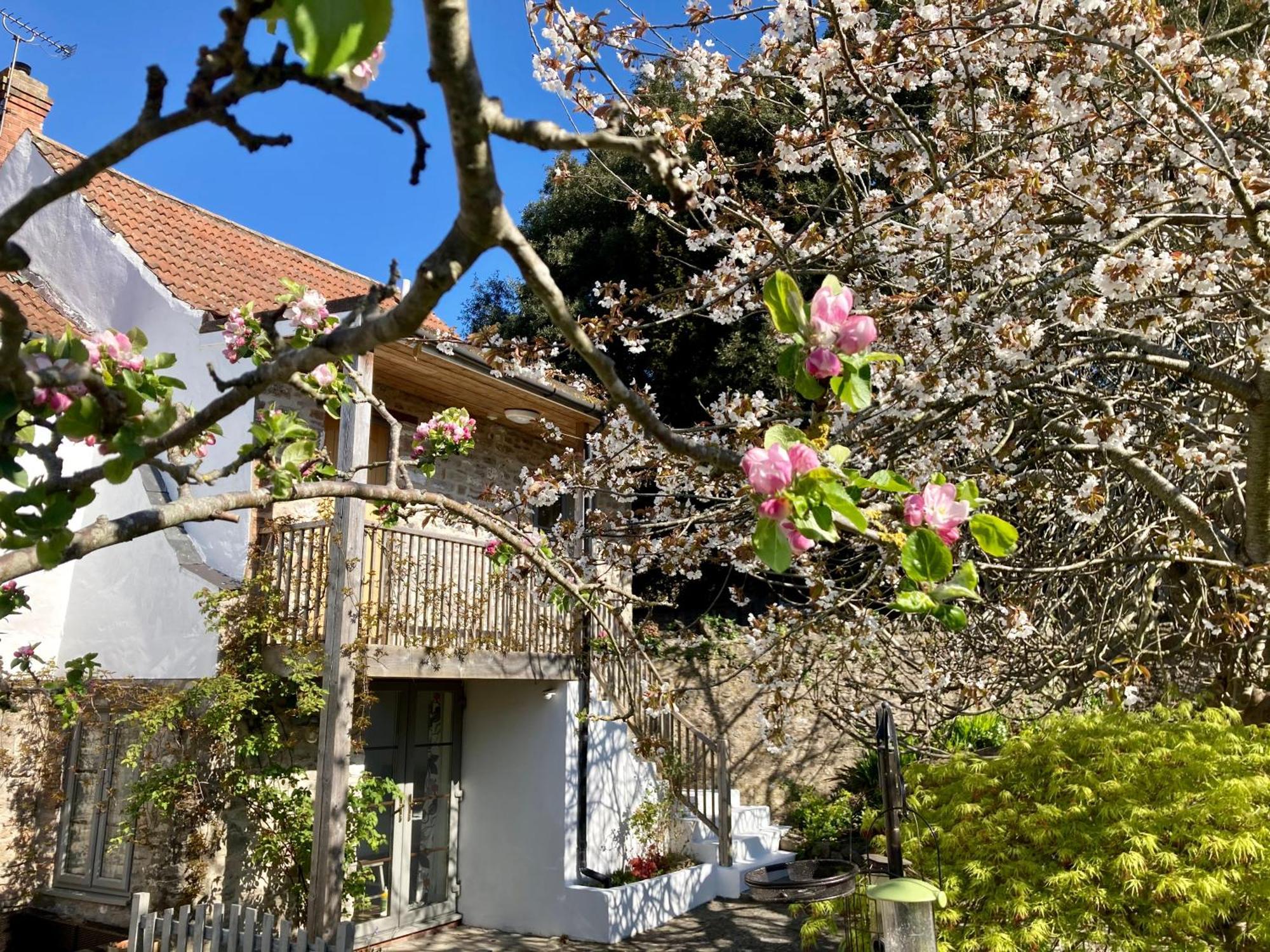 Westbury Cross House Bed & Breakfast Esterno foto