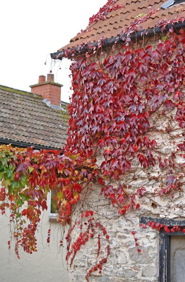 Westbury Cross House Bed & Breakfast Esterno foto