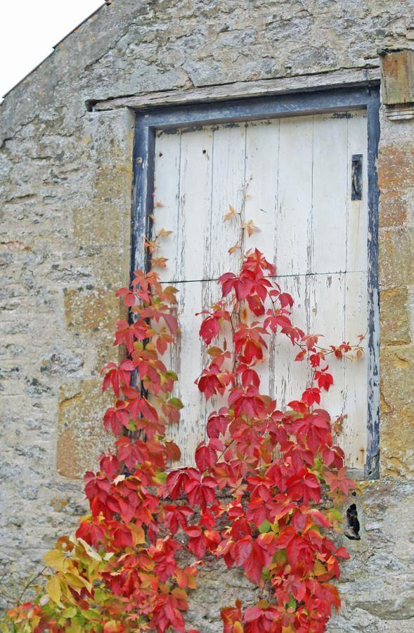 Westbury Cross House Bed & Breakfast Esterno foto